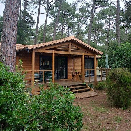 Chalet La Lande Ondres Luaran gambar