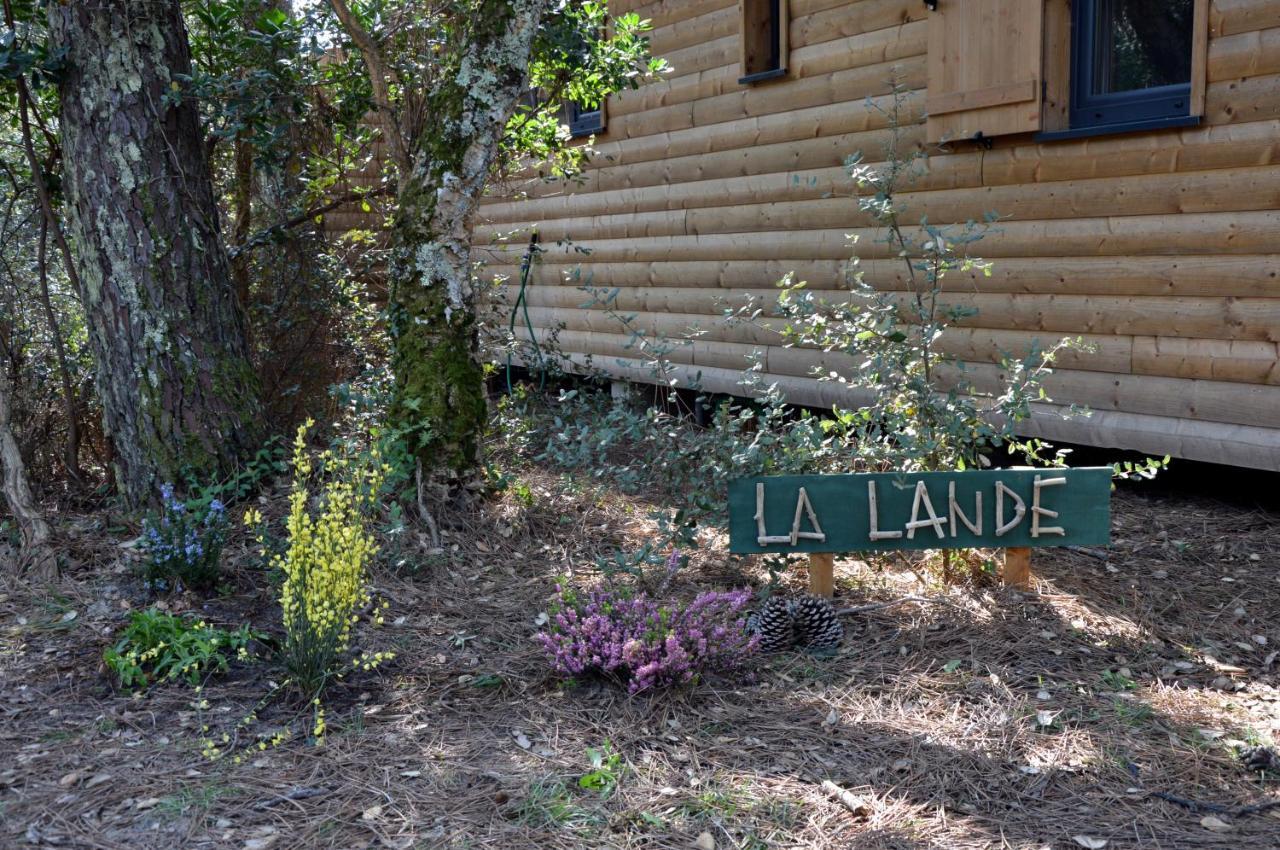 Chalet La Lande Ondres Luaran gambar
